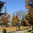 자전거 주차장 | 공주 가볼만한 곳 단풍명소 공주 메타세콰이어 2025.11.10. 방문후기(+자전거 소요시간, 주차장, 화장실)