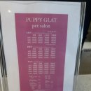 퍼피글랫 이미지