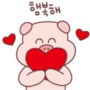고성돈 이미지