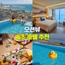 티니홈 | 홈 마리나 속초 호텔 조식 수영장 강원도 오션뷰 감성 숙소 뚜벅이 혼자 여행 추천