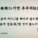 믿음농가 이미지