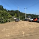 금호1농장 이미지