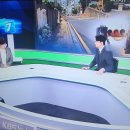 [스쿨존]KBS부산 뉴스7 ＜대담한 K＞ 출연- 강진희 상임대표 이미지