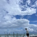 The D왈G # | 【뉴질랜드 워킹홀리데이】 지극히 주관적인 후기 <West Coast Region> - Hokitika