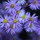 인재숲협동조합 이미지