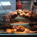 (주)백합사 이미지