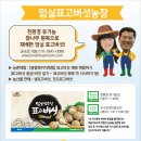 윤승호농장 네이버블로그