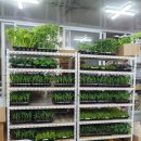 풍년농약사 이미지