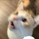 솔빈약국 이미지