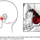 자연향한의원 이미지