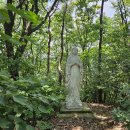 수양산 티스토리