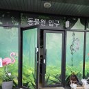 쥬니멀 전시장 이미지