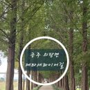 메타세쿼이아길 공중화장실 | [공주 의당면]공주 가볼만한 곳 "메타세콰이어길" 단풍현황/주차/화장실/뱀 본 후기~!!