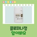 클로피