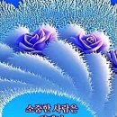 흥룡초교 Daum카페