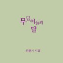 달한조각