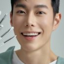 레오컬렉션 인사이트
