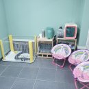 배츄네펫살롱 이미지