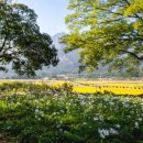 월비경로당 이미지