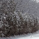 강원으로주 이미지