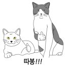 서수원동물병원 이미지