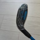 BL 골프 | 핑 G440 MAX 5번 우드 후기, 19도 페어웨이우드 직접 필드에서 쳐보니