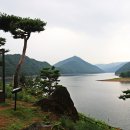 이주의정원 이미지