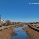 도리스테이 고대점 이미지