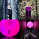 아르떼뮤지엄부산 | 부산 실내 아이랑 가볼만한곳 아르떼뮤지엄 부산 솔직후기