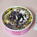 펫블리강아지&미라클고양이 | 따끈따근 1월 일상 낋여왔어요 (✿◡‿◡)