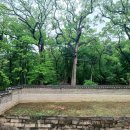 구름닿은 이미지