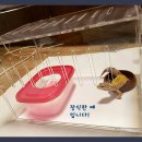 거미아크릴 이미지