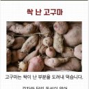 싹 난 농산물, 먹어도 되나요? 이미지