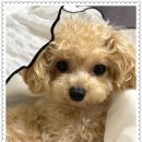 아이조아 요양보호소 경기광주 이미지