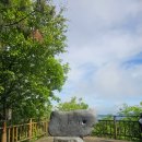 형제봉_숲길(등산)1코스 | 광교산 등산 후기 코스 추천 공복 등산 효과 칼로리 체크 간식 필수