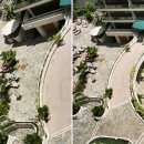 온더비치 이미지