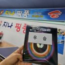 지나핑퐁