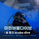 마린첼린져 | [창원] 마린버블다이브 후기 :: 창원스쿠버다이빙 오픈워터 자격증 교육