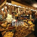 지상낙원 이미지