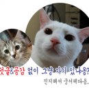 팀커피로스터스 이미지