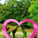 경기도 수원시 팔달구 권광로134번길 이미지