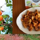 토룡농장 이미지