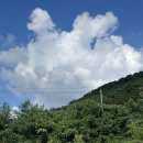 장성군 수영장 주차장 | [전남/장성] 수영장 있고 불멍 가능한 펜션 "서른두달" 후기