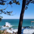 김희갑악단 이미지