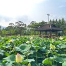 정원토종순대국 네이버블로그