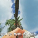 롯데PC게임랜드 이미지