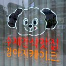 상상도그 | 청주 강아지 케이크 전문 &lt;도그투케이크&gt; 강아지 케이크 생일파티 후기