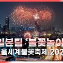 가을밤 하늘을 수놓는 불꽃의 향연! 일본팀 '불꽃놀이' 2024 서울세계불꽃축제 KTV국민방송과 함께! KTV 국민방송﻿ 이미지