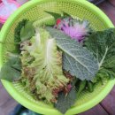 해피월드종이학 이미지