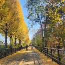 군자교입구 이미지